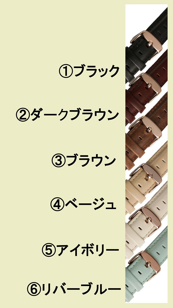時計ベルトカラー