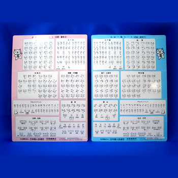 全体画像