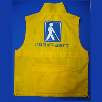全体画像