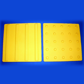 全体画像