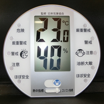 全体画像